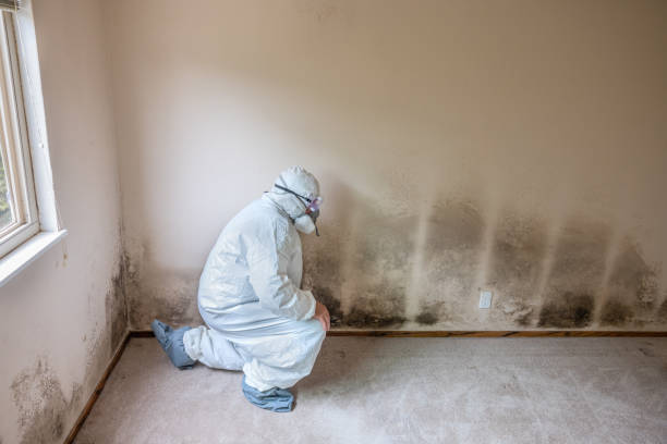 Forensic Mold Investigation in Ave Maria, FL